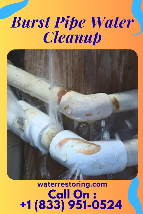 Burst Pipe Water Cleanup in Galt, MO