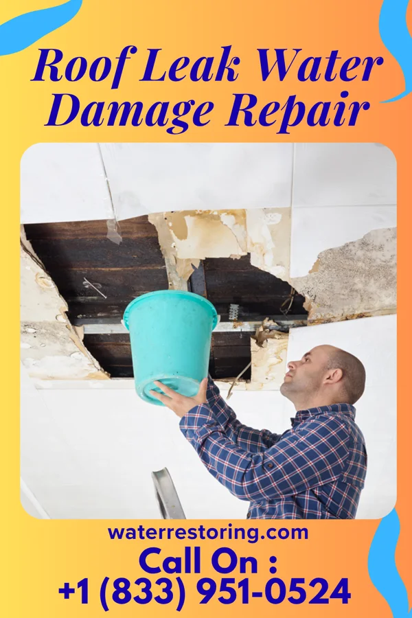 Roof Leak Water Damage Repair in Galt, MO